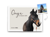 Load image into Gallery viewer, Stalbord paard beige