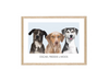 Load image into Gallery viewer, Triple Pet Portrait – Boxed